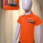 P6-ORANGE-0002